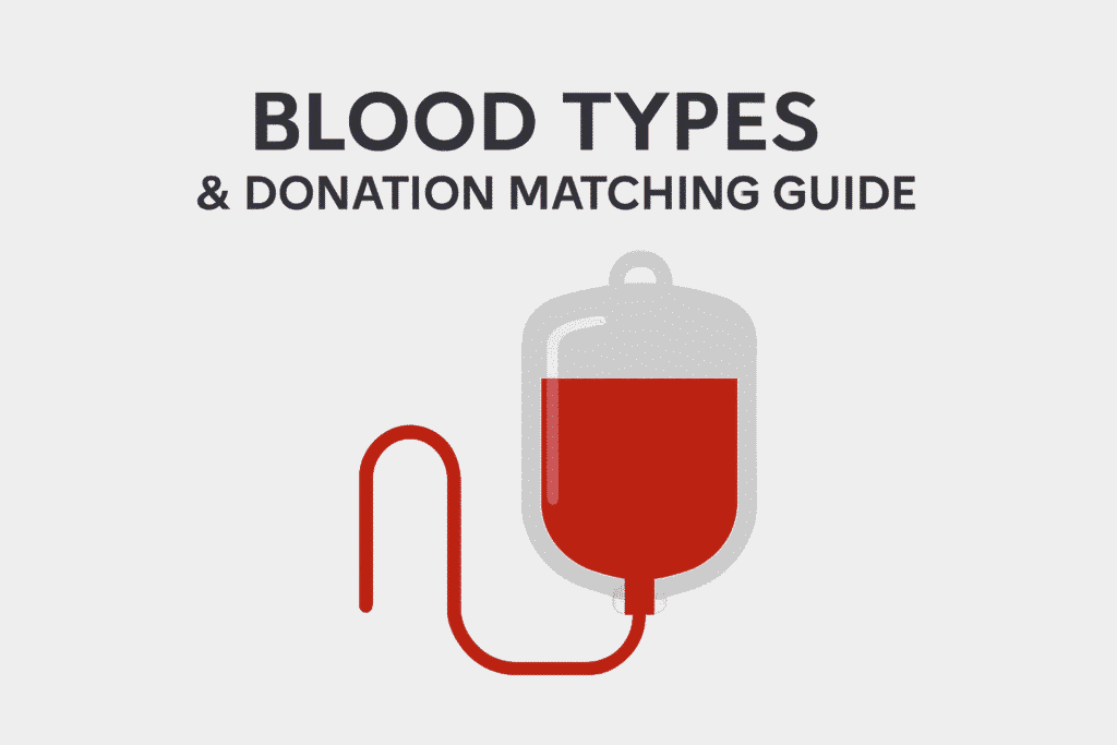 Blood Types and Donation Matching Guide